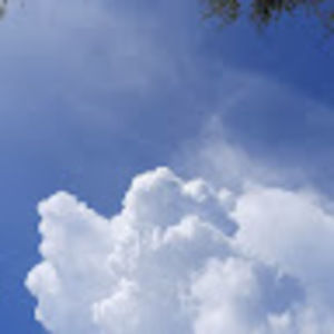 Meet your Posher, Dan